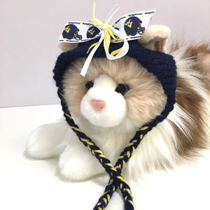 West Virginia University MOUNTAINEERS Cat Hat *NEW*